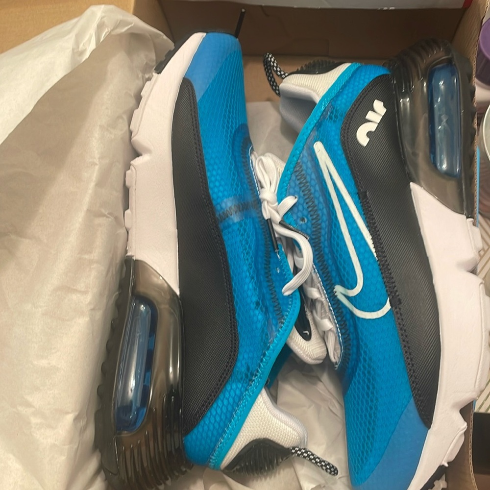 Nike Air Max 2090 (gs)